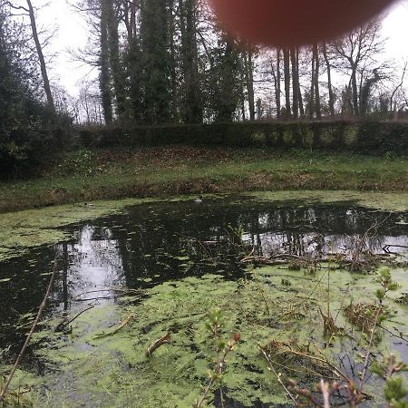 Vila Le Colombier De Royaumont Saint-Arnoult  Exteriér fotografie